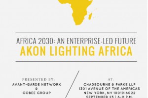 Akon Lighting Africa Flyer